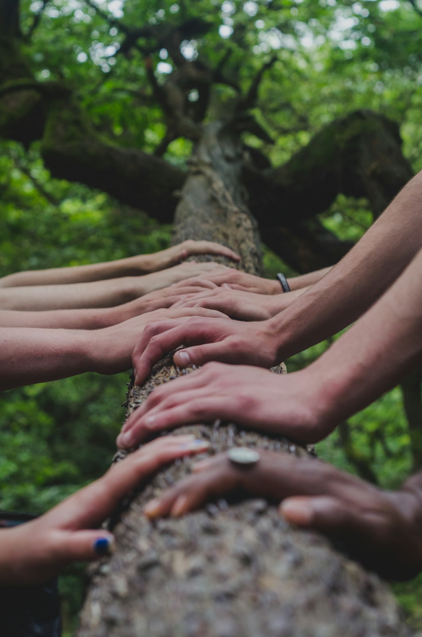Encouraging Fellowship Among Believers
